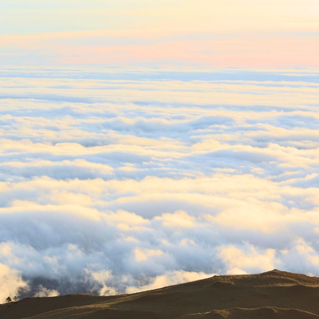 Mt. Pulag – Benguet